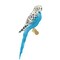 Parakeet Bird Wall Stencil | 1913 by Designer Stencils | Animal & Nature Stencils | Reusable Art Craft Stencils for Painting on Walls, Canvas, Wood | Reusable Plastic Paint Stencil for Home Makeover | Easy to Use & Clean Art Stencil
